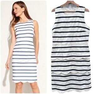 J. McLaughlin Dress Providence Scalloped Sheath Striped Navy White Womens 12